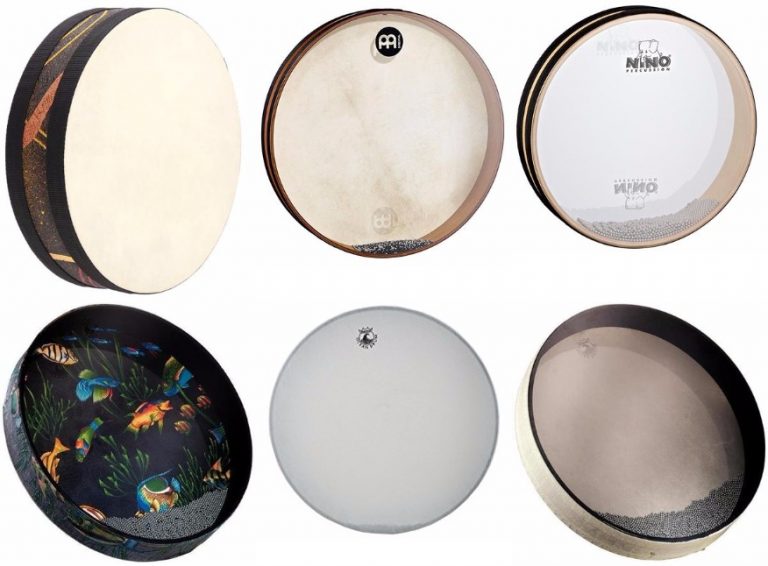 7 Best Ocean Drums with Amazing Sound of the Sea 2022 Review